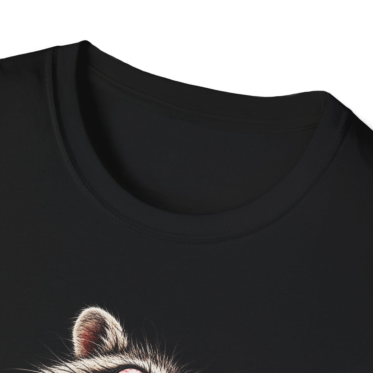 Raccoon with Pizza