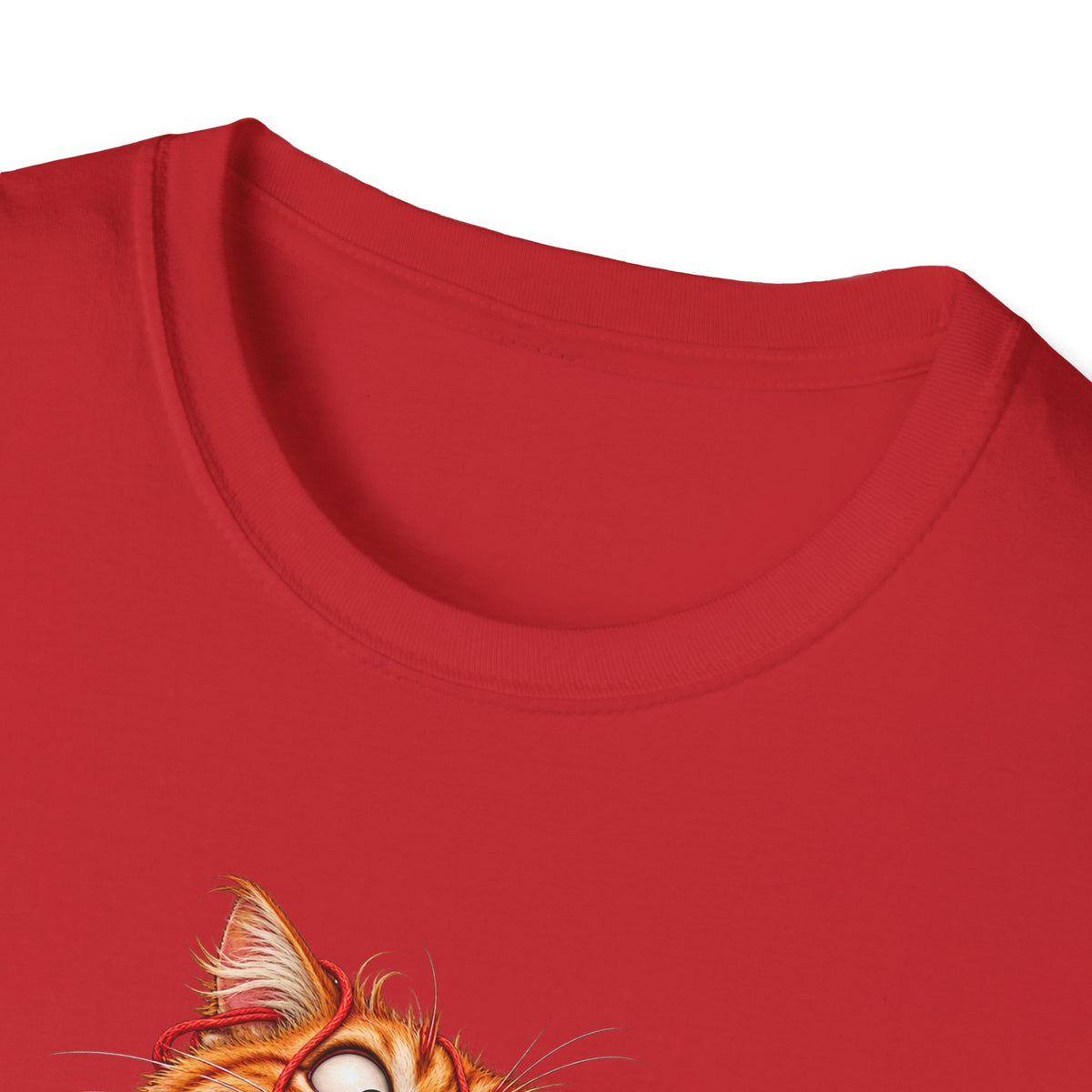 Excited Cat