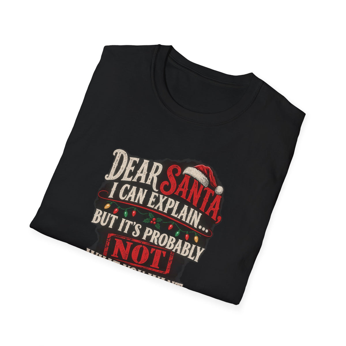 Dear Santa I Can Explain...