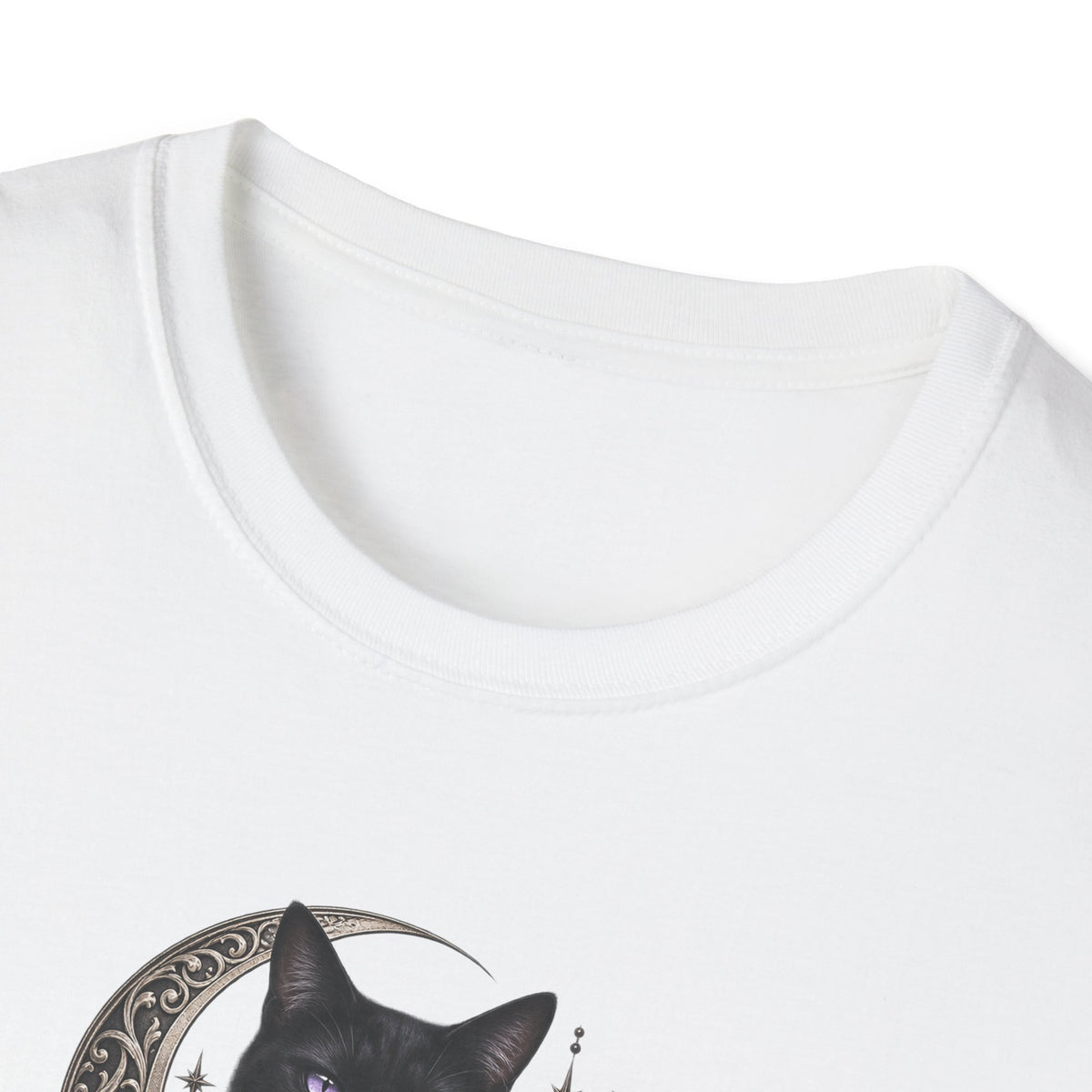 Black Cat & Moon