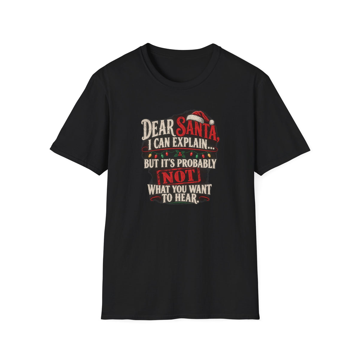 Dear Santa I Can Explain...