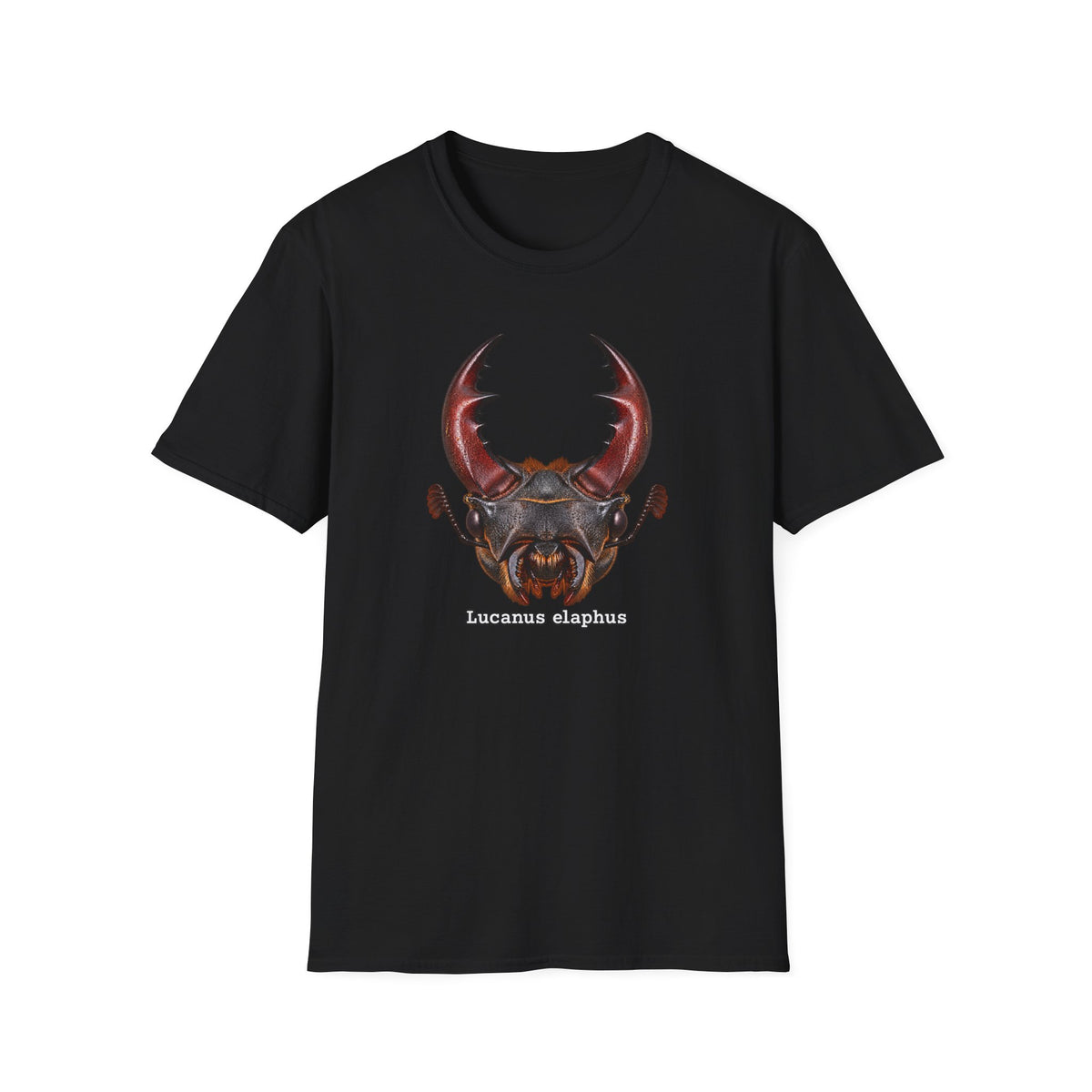 Lucanus Elaphus