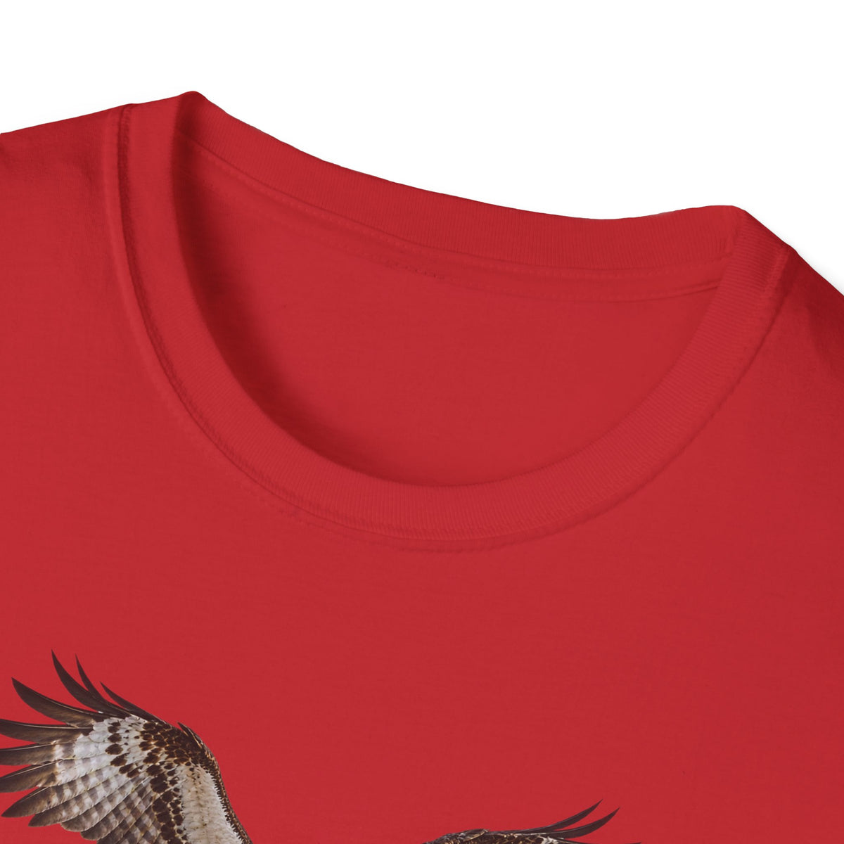 Birds of Prey