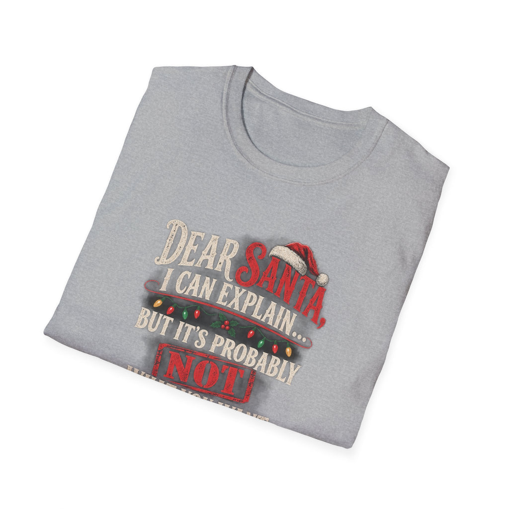 Dear Santa I Can Explain...