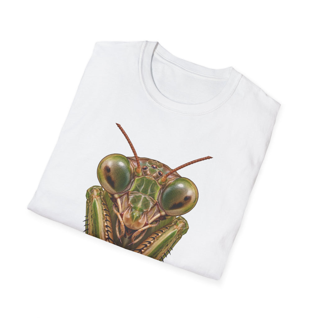 Tenodera sinensis Portrait