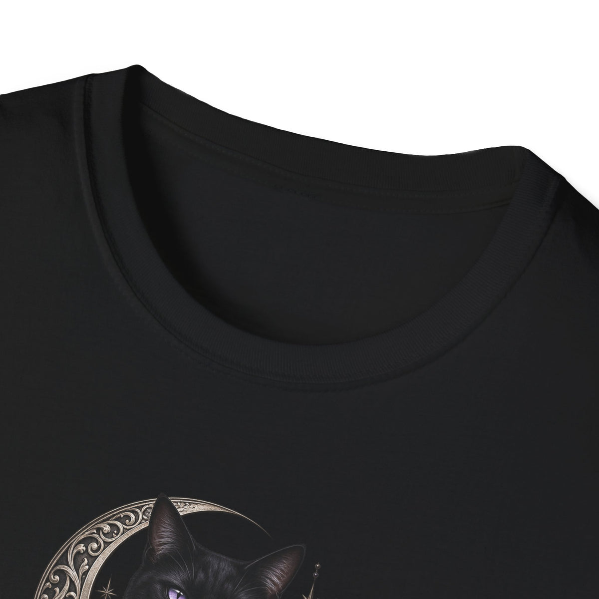 Black Cat & Moon