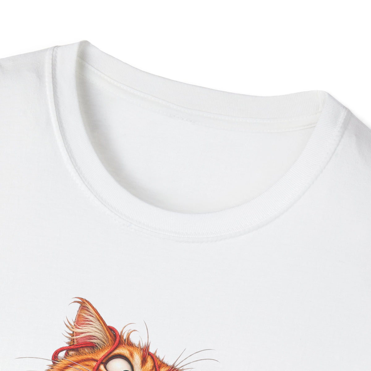 Excited Cat