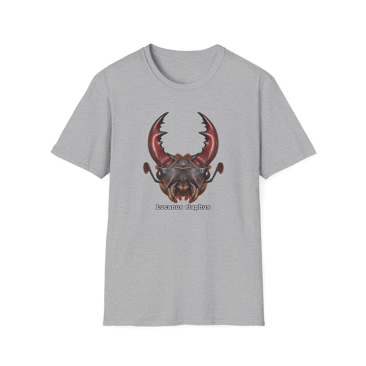 Lucanus Elaphus