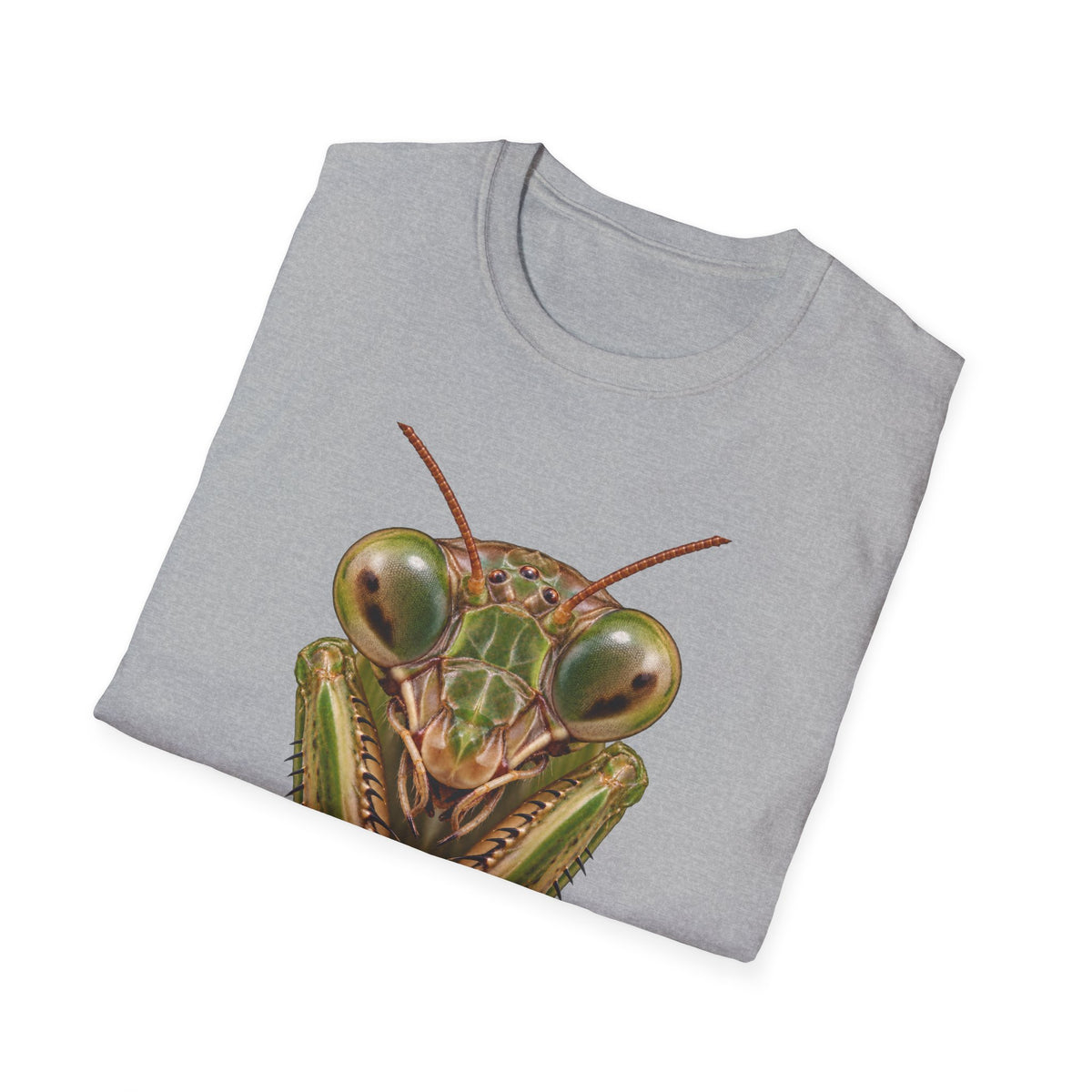 Tenodera sinensis Portrait