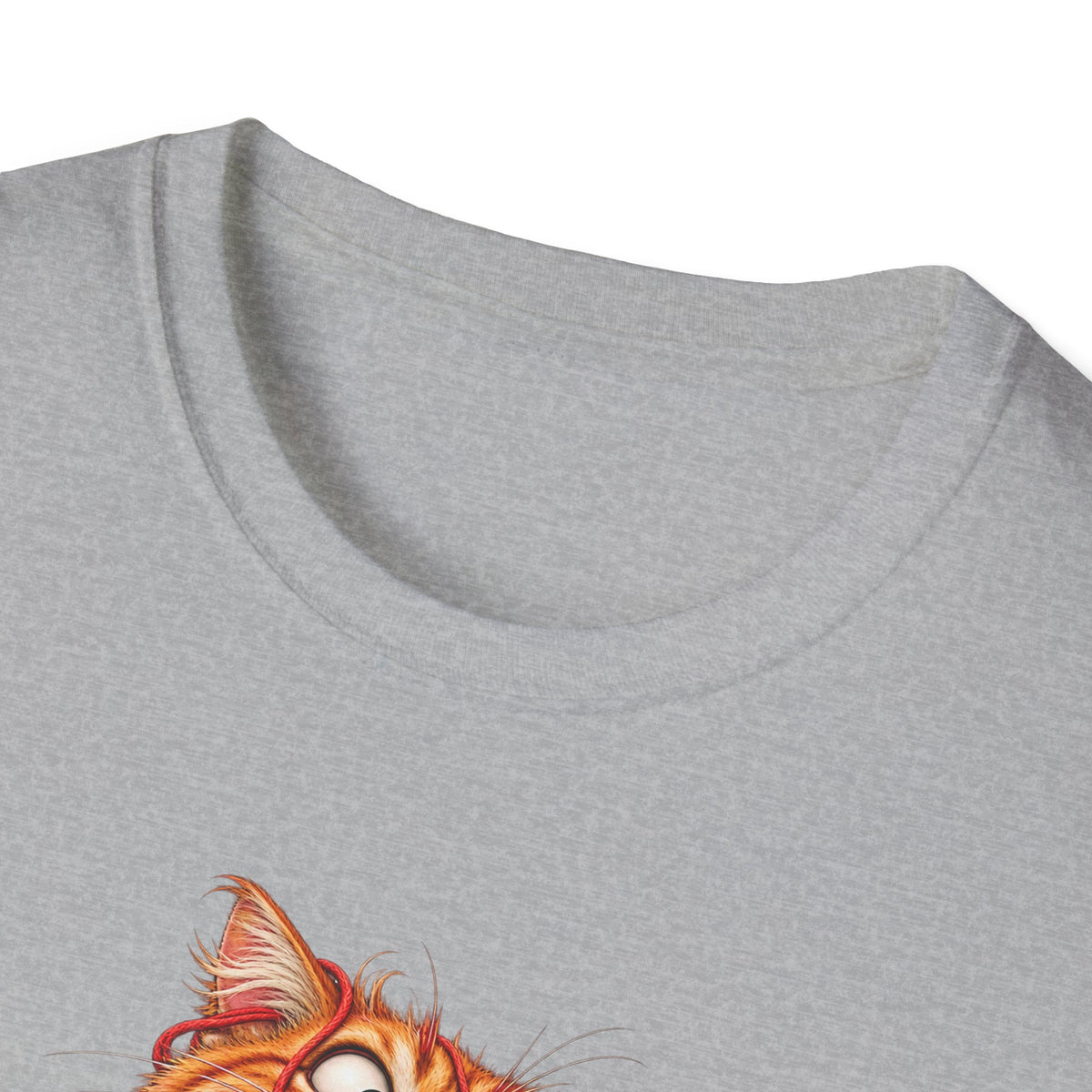 Excited Cat