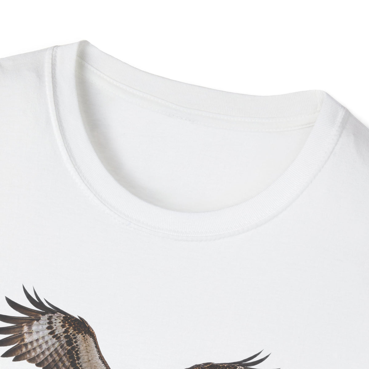 Birds of Prey
