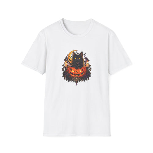 Black Cat Pumpkin