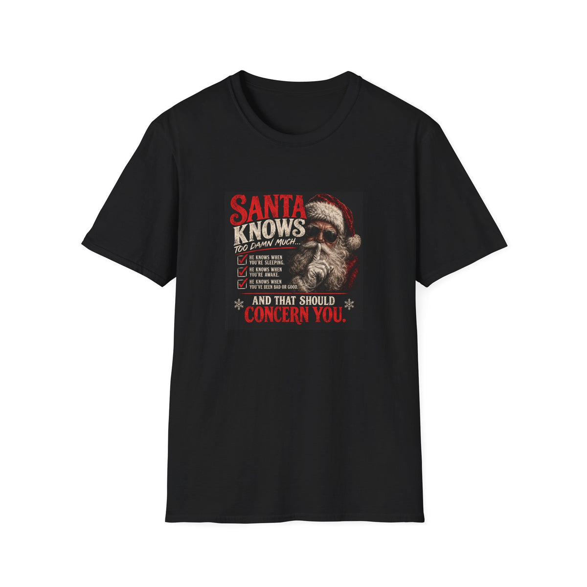 Santa Knows Too Damn Much