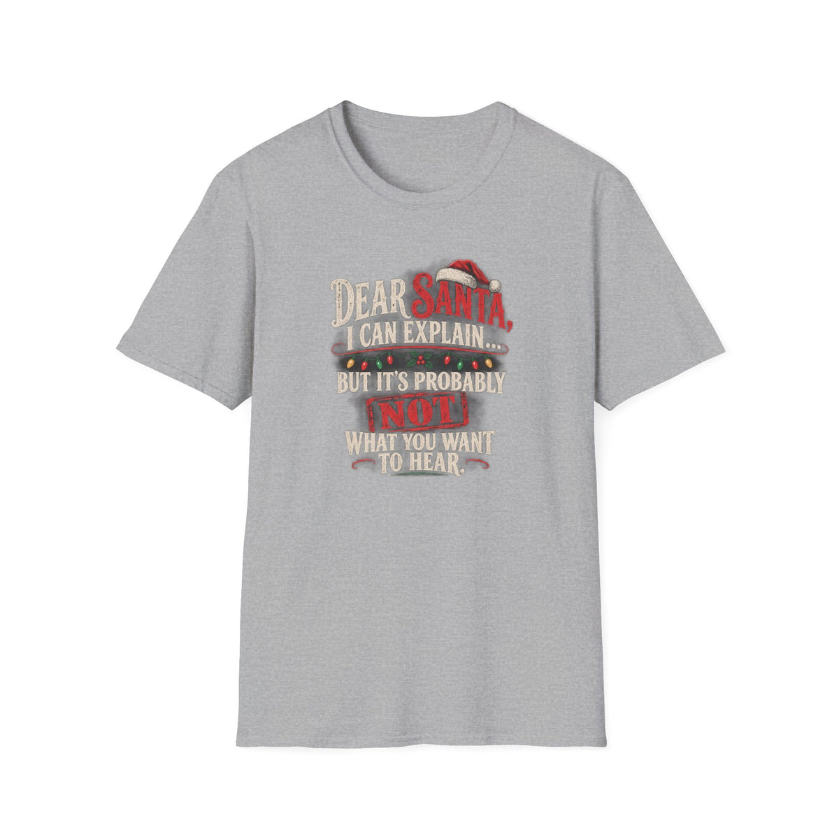 Dear Santa I Can Explain...
