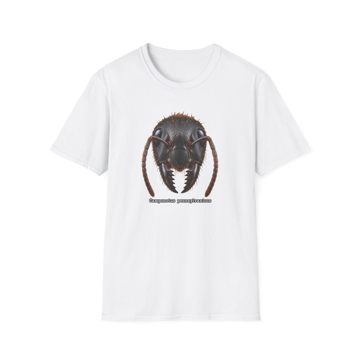 Ant Portrait