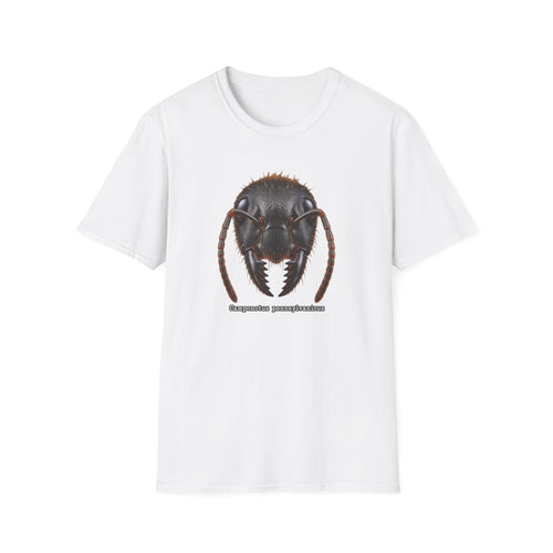 Ant Portrait