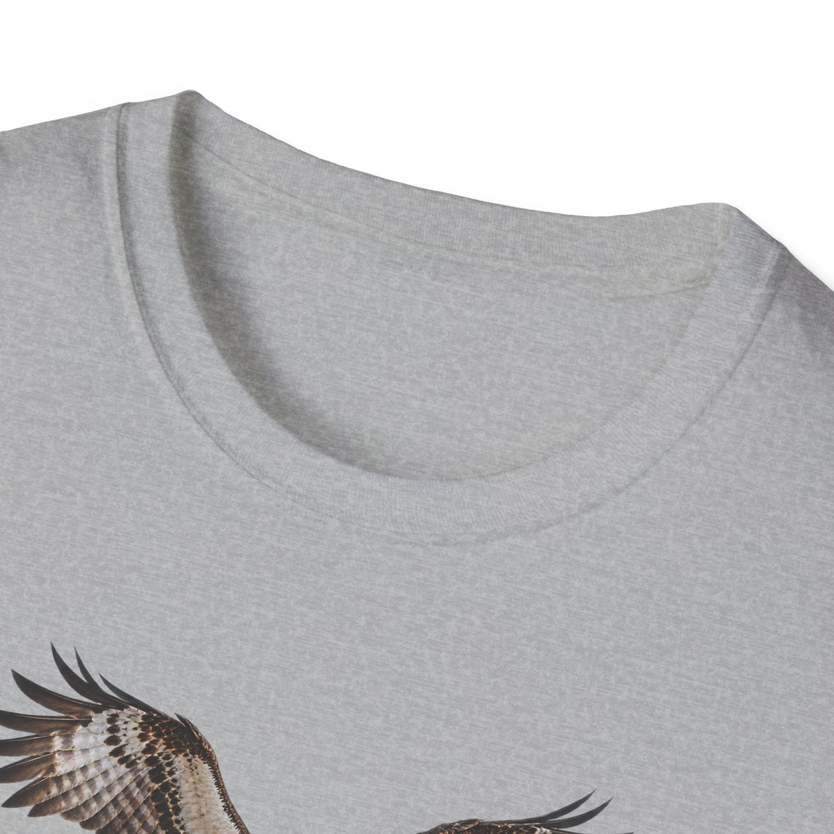 Birds of Prey