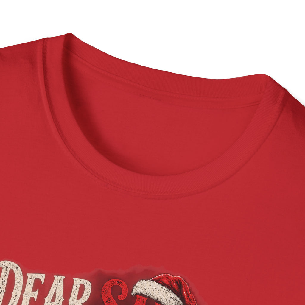 Dear Santa I Can Explain...