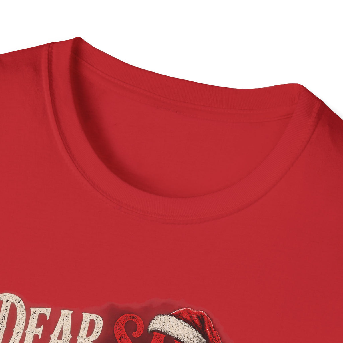 Dear Santa I Can Explain...
