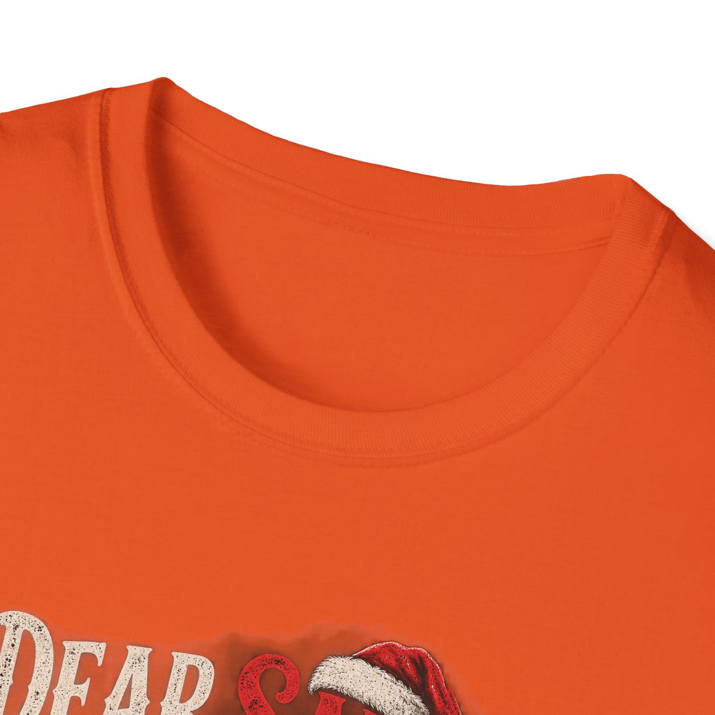 Dear Santa I Can Explain...
