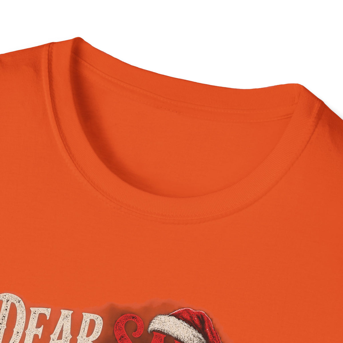 Dear Santa I Can Explain...