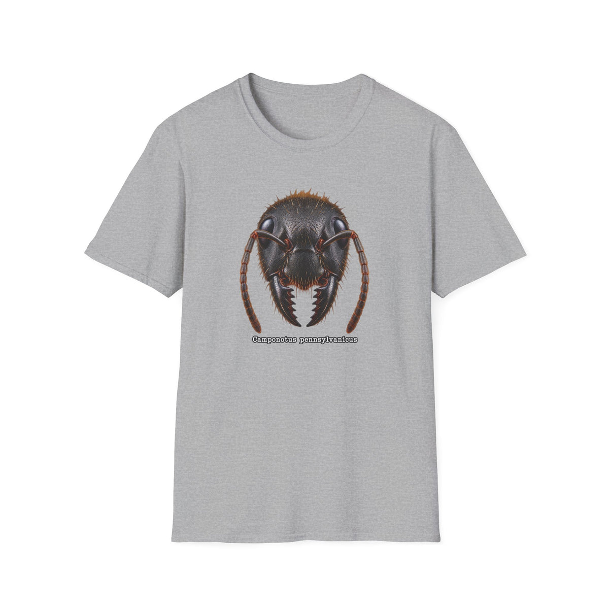 Ant Portrait