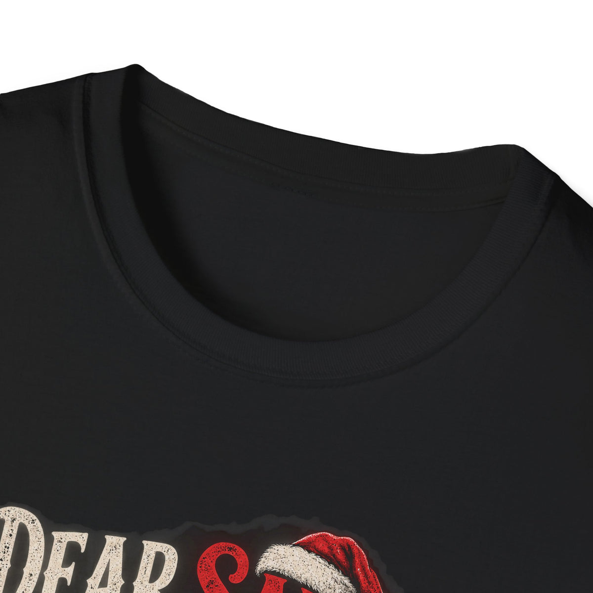 Dear Santa I Can Explain...